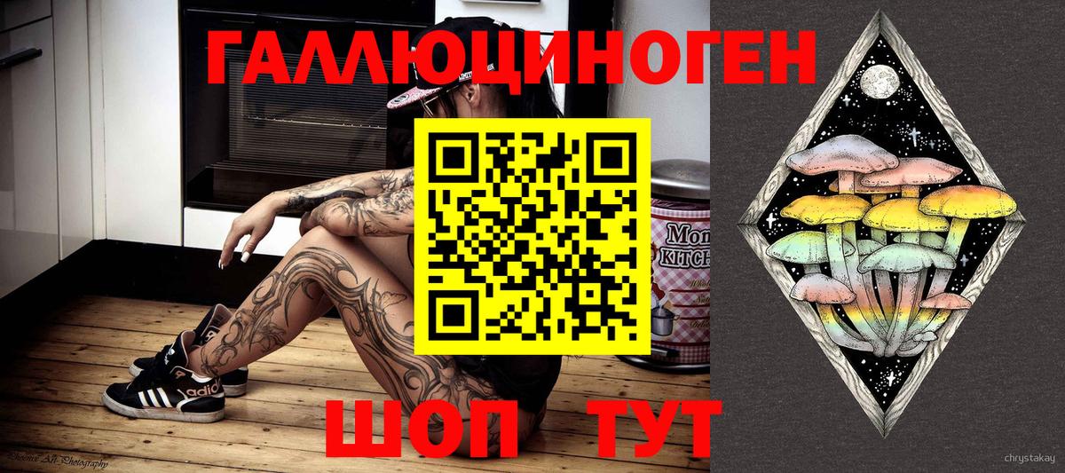 Псилоцибиновые грибы Psilocybine cubensis Нижнеудинск